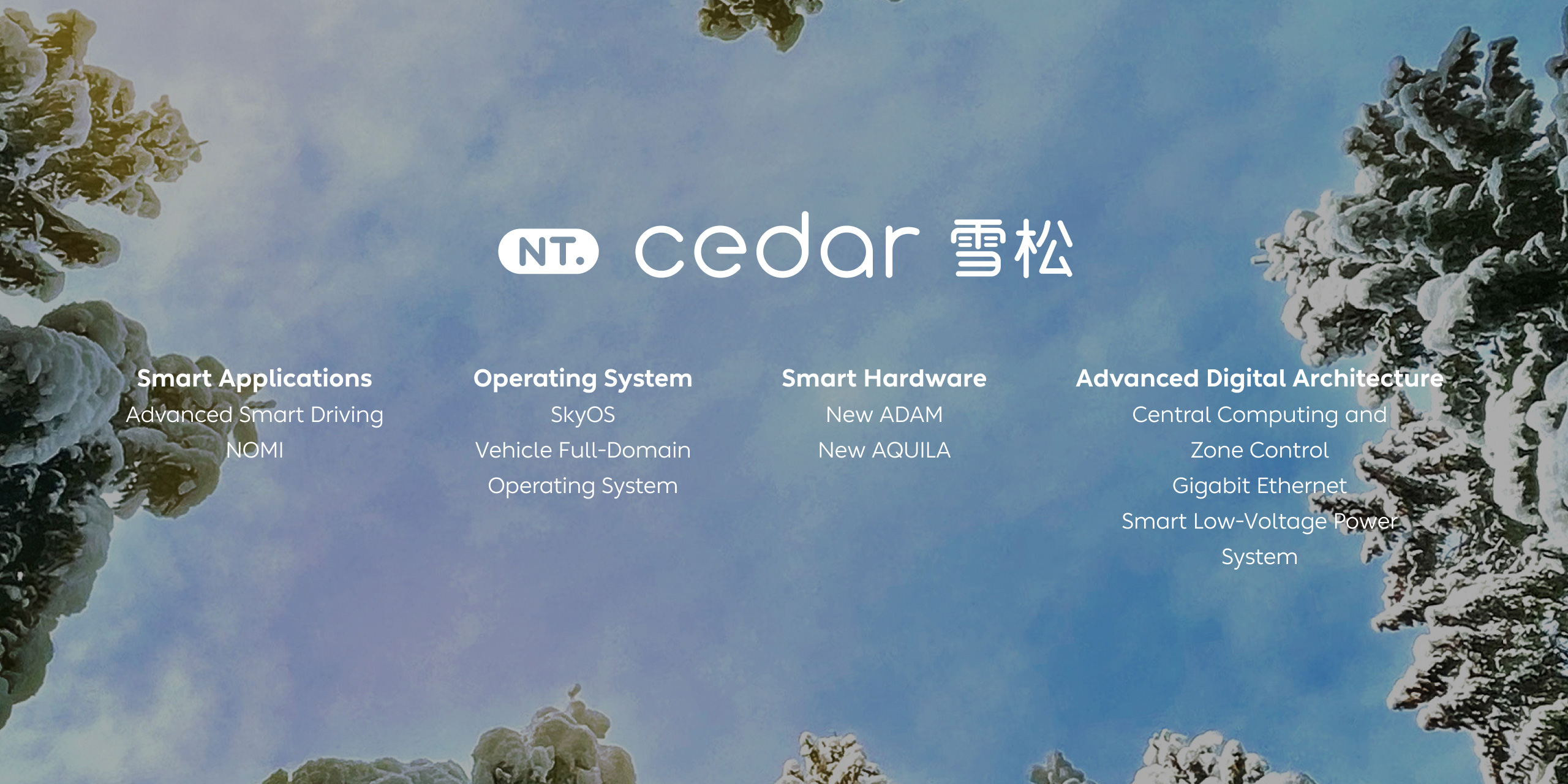 cedar cedar
