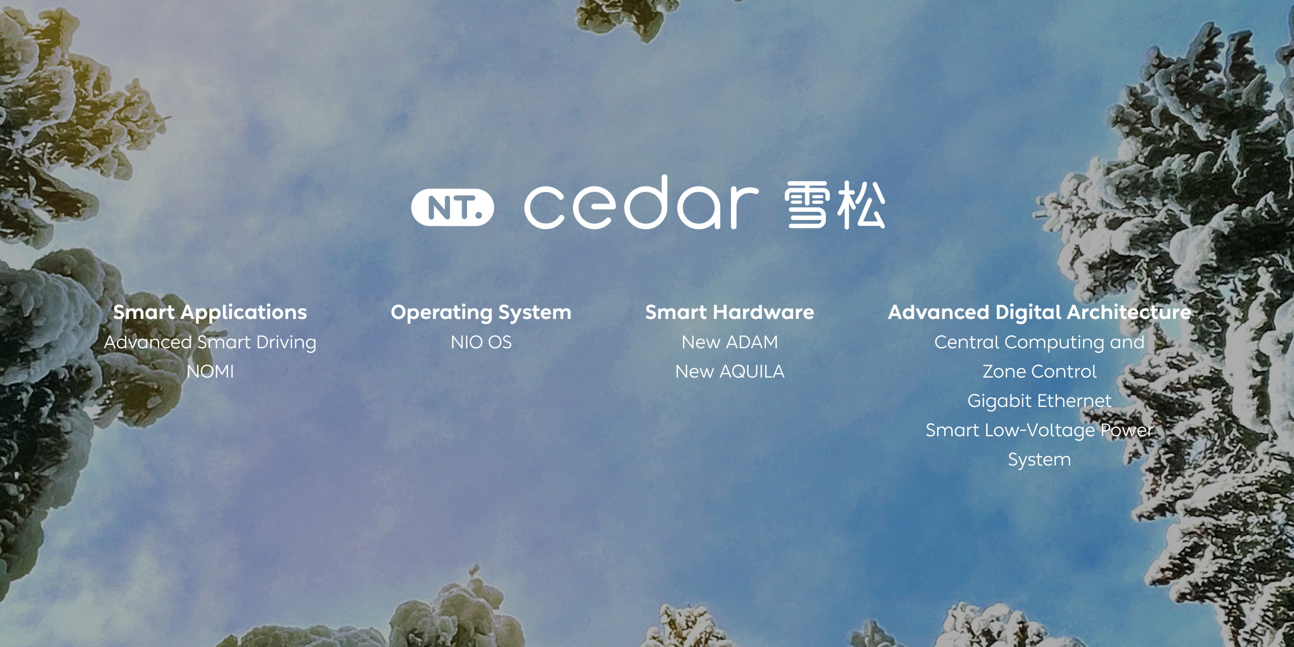 cedar