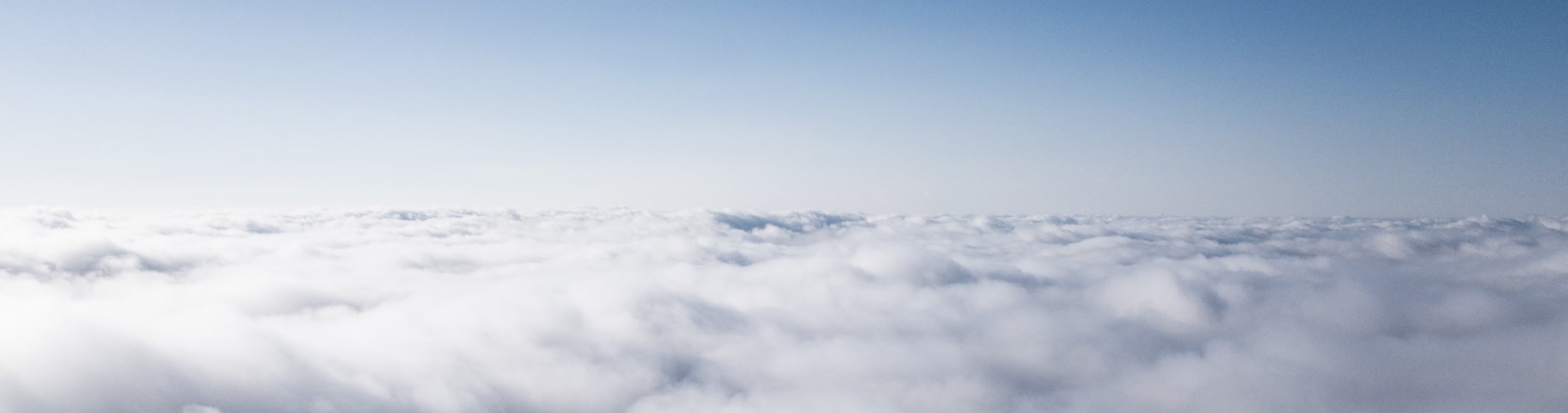 Recruitment and Tender Announcements